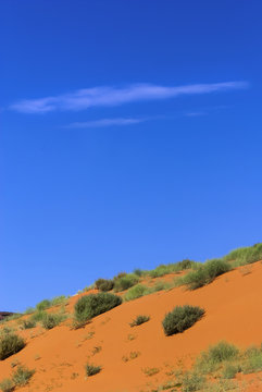 Orangefarbige D&uuml;nen im Monument Valley, USA