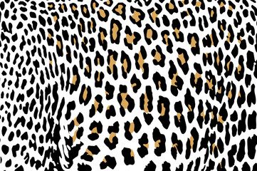 Leopard skin vector