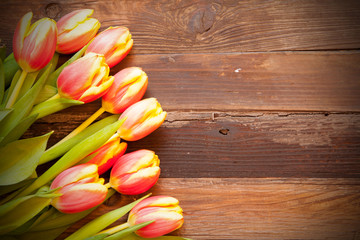 Tulpen