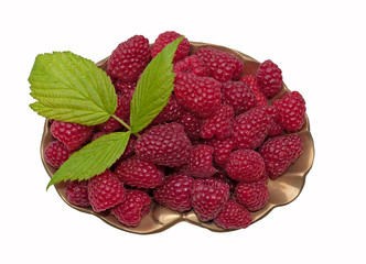 Himbeeren - Rubus idaeus