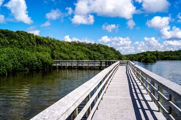 Naklejka premium West Lake - Everglades