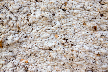 Piled Cotton