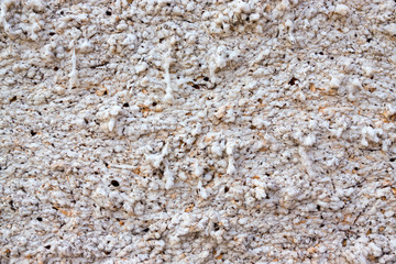 Cotton Wall