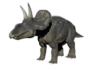 diceratops dinosaur - 3d render