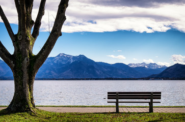 at the lake