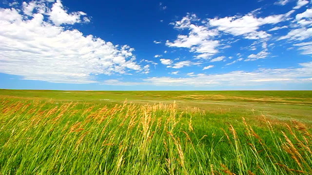 Badlands National Park Prairie