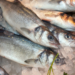 Gilt-head bream(dorade) on ice at the seafood booth