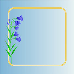 Spring flower Bluebell  campanula  background  vector