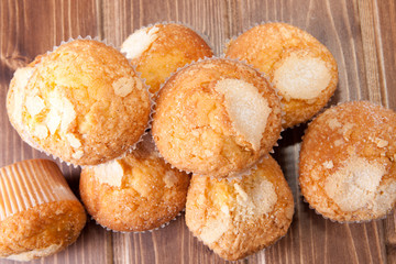 Traditional spanish madeleines