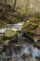Autumn Fall forest landscape stream flowing through golden vibra