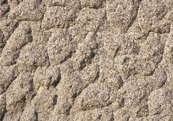 Processed gray granite closeup