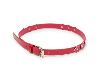 belt pink color isolated