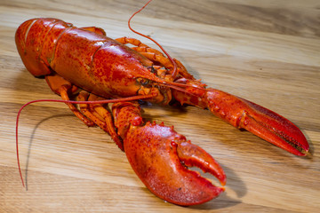 boiled lobster