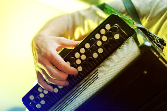 Image of musician playing on accordion closeup