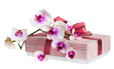 Orchid flower and gift box.