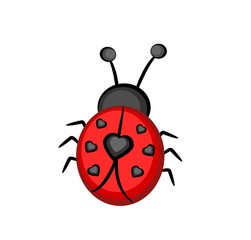 Cartoon Ladybug
