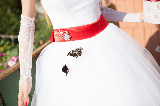 Wedding and butterfly