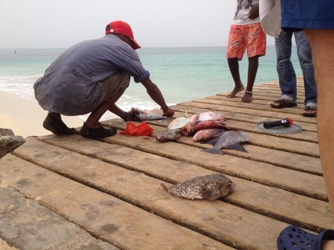 Fisherman