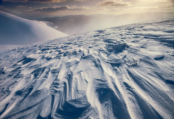 Winter landscape