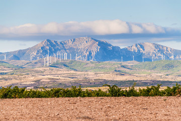 Countryside near Logrono