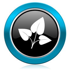 leaf glossy icon nature sign