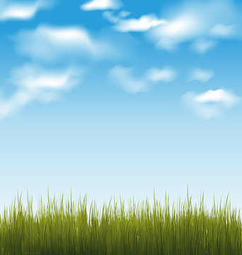 Spring background with green grass and sky