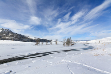 Winter Landscape