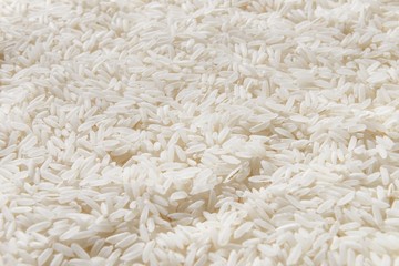 White rice background
