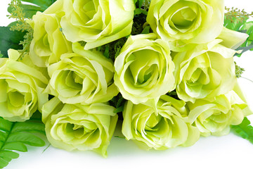Green flower bouquet on white background