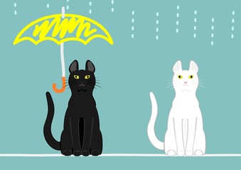 傘のある猫とない猫