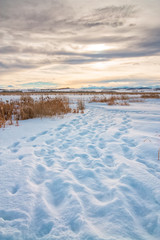 Snowy Footsteps at Dusk