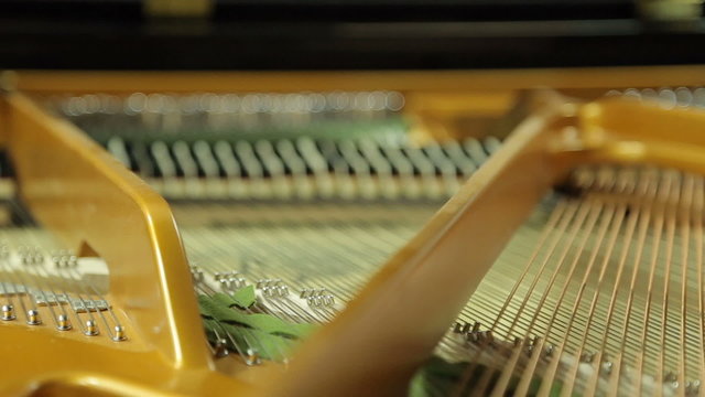 Work  hammers inside the grand piano with the lid open 