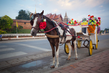 horse carriage in temple Phrathat Lampang Luang in Lampang, Thai