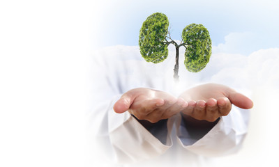 Air pollution