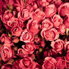 Abstract background of flowers. Close-up.