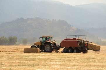 Fototapeta premium Hay Bale
