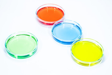 Set of Petri dishes with colored liquid