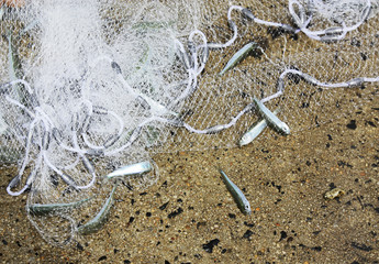 fishing net and bait