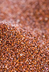 Red Quinoa Background