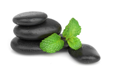 Fresh mint on the black stones with drops