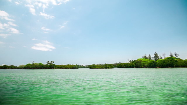 mangroves Mauritius Ile aux Cerfs