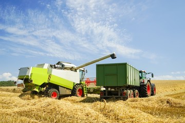 Getreideernte, Mähdrescher, Schlepper und Anhänger auf Feld