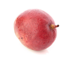 mango fruit isolated on white background
