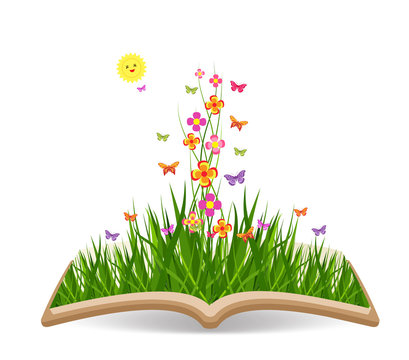 Spring with grass and butterflies colorful in the book