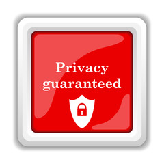 Privacy guaranteed icon