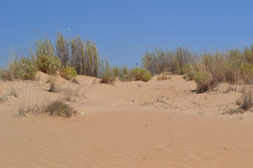 mare e spiaggia