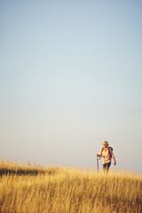 Wanderer auf Berg und Wiese