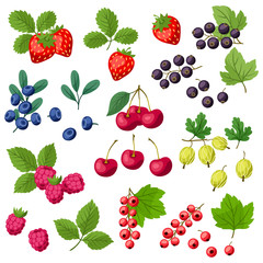 Set of various stylized fresh berries.