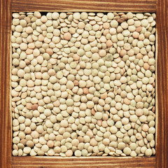 Lentil, collection of products