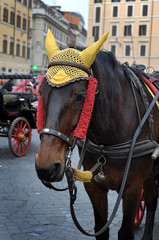 Obraz premium Cavallo con calesse a Roma, Italia
